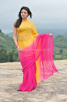 Nikitha, narayan, latest, photos, in, saree