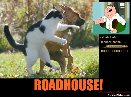 quotes about family funny. Rate This Funny Family Guy Roadhouse Picture and Caption!
