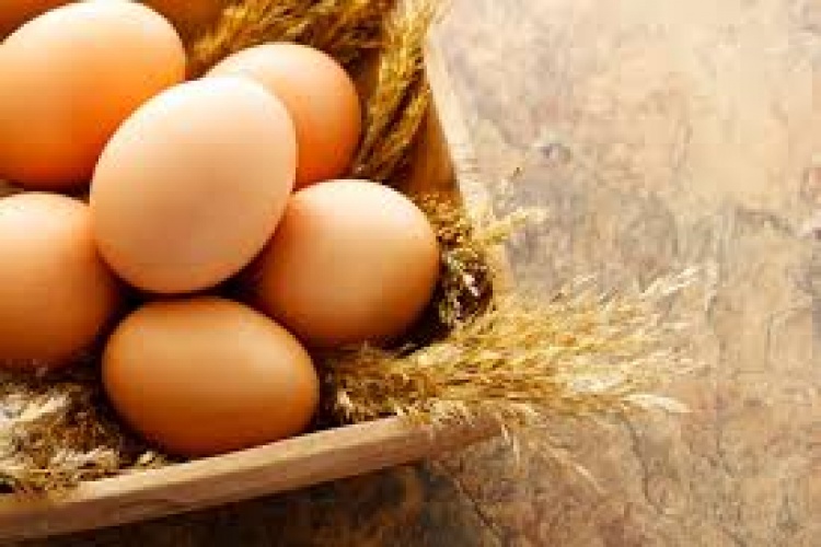 Walah, Anak Muda di Inggris Mengira Telur Berasal dari Gandum