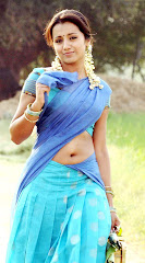 Trisha Krishnan In Saree (9)