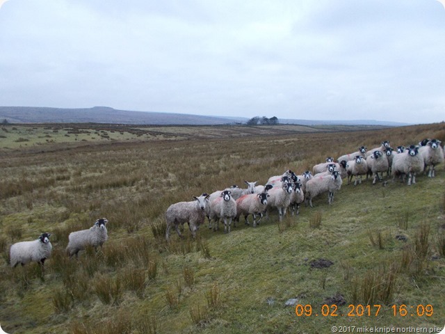 baldersdale reccy 012