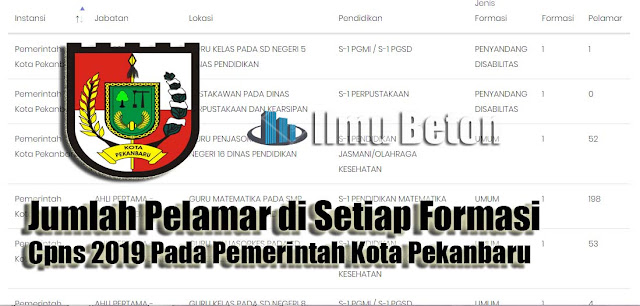 Jumlah Pelamar di Setiap Formasi Cpns 2019 Pada Pemerintah Kota Pekanbaru