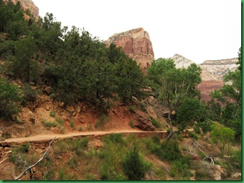 Angel's Landing 015