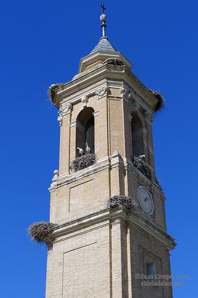 Torre iglesia. Pina de Ebro