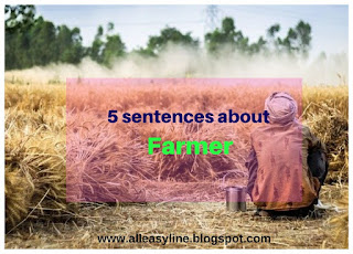 5 sentences about farmer in English