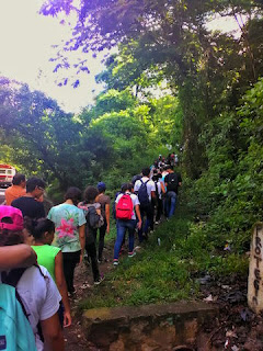 Reforestación Cerro Tecana Nueva Acrópolis Santa Ana