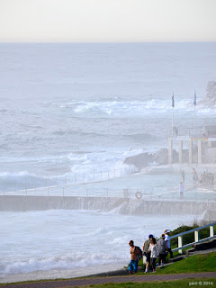 misty bondi