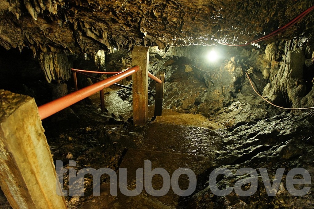 timubo-cave-camotes-DSC06299