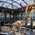 5 Museum Dinosaurus Paling Keren Di Dunia