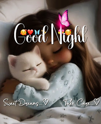 Beautiful Good Night Image