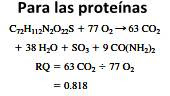 Sistema energético aeróbico o sistema oxidativo