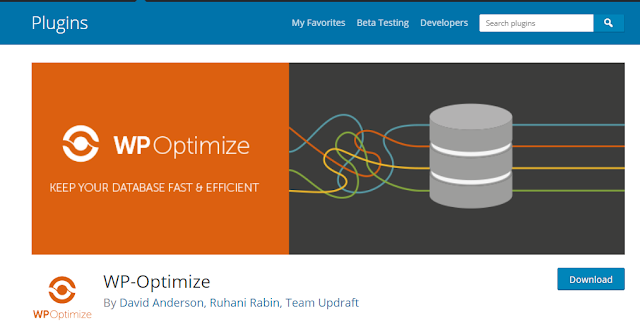Wordpress optimization plugin