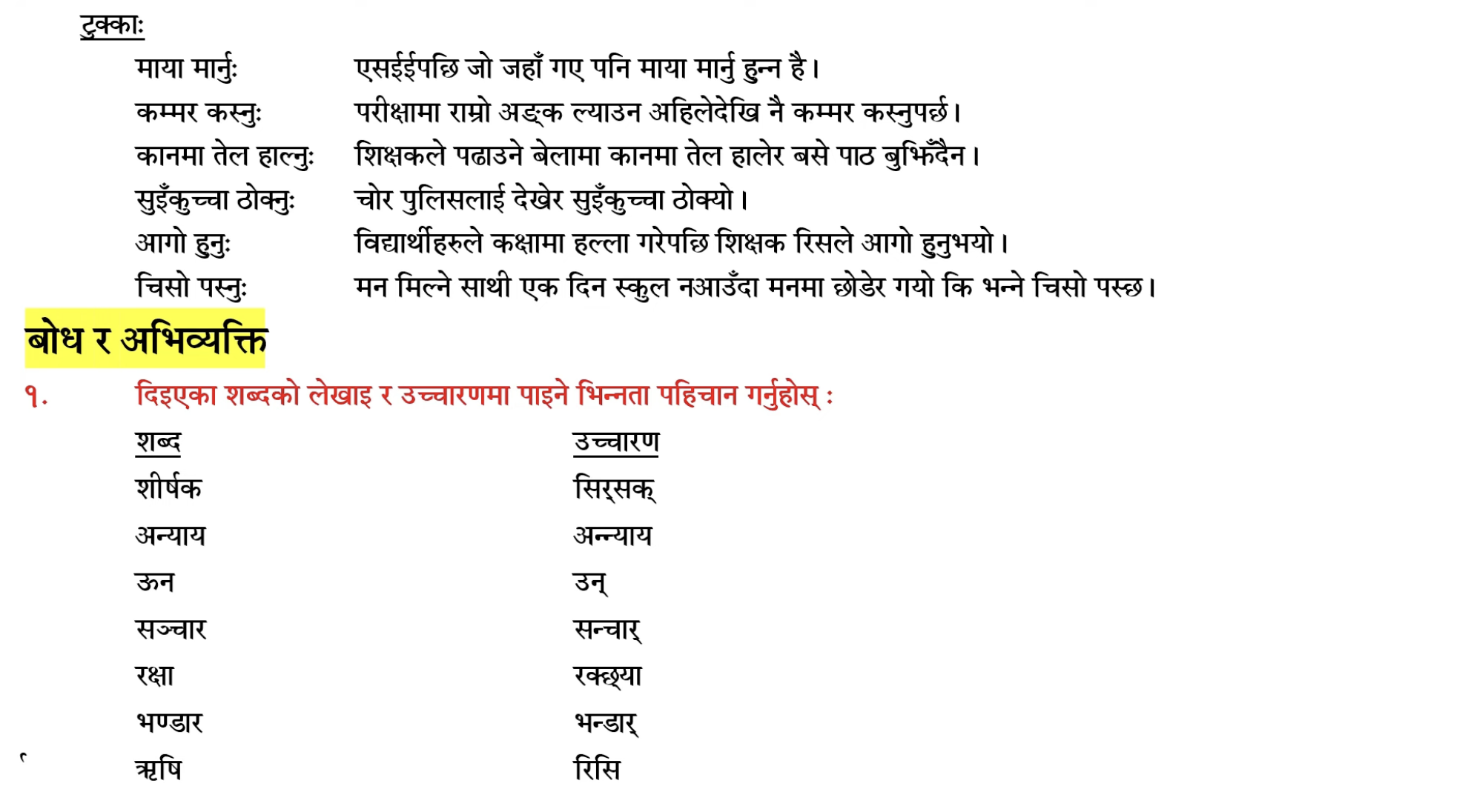 Kartabya Exercise: Class 10 Nepali Chapter 11 || Complete Questions and Answers