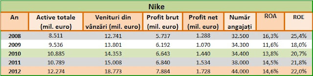 Evoluția indicatorilor de activitate la Nike