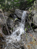 Mascot Pond Trail cascades in Gorham NH