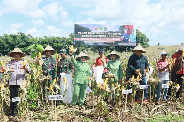 Kodim 1426/Takalar Gelar Panen Raya Serentak Di Wilayah Kodam XIV/Hasanuddin