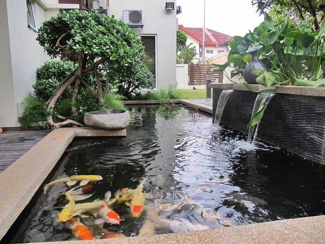 Inspiring Fountain in the Park