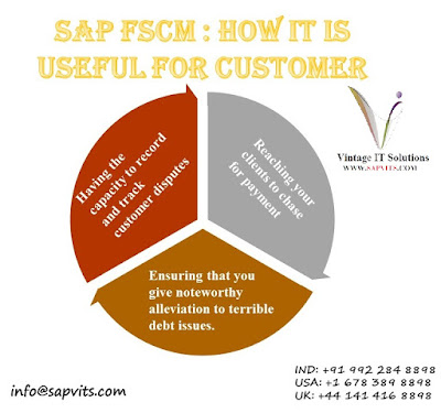 SAP FSCM Overview