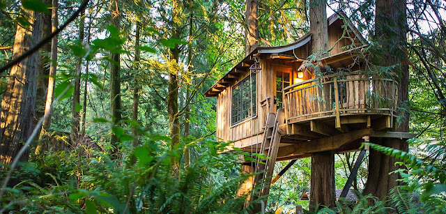 Casa en un árbol en medio de un bosque