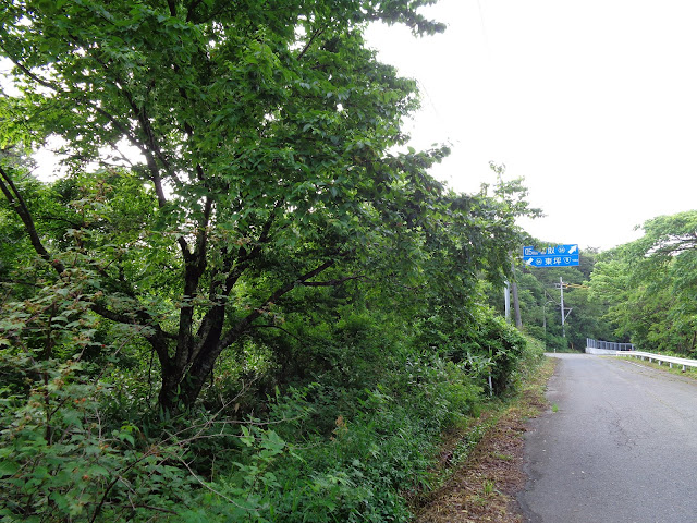鳥取県道54号豊房御来屋線を下ります