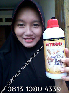 stokist viterna banten