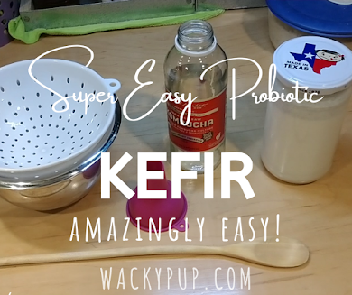 Simplest explanation of how to make kefir I've ever seen!! Clear, simple, quick & easy!