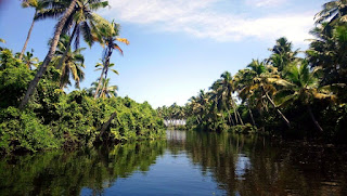 Blackwater Kerala