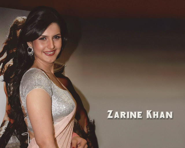 zarine khan hot photos & zarine khan hot pictures