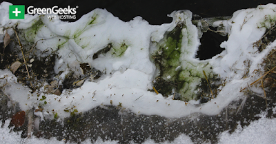 green snow Antarctica