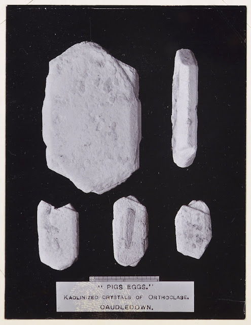 'Pigs Ears' Kaolinized Crystals of Orthoclase. Caudledown. Geologists' Association North Cornwall Field Excursion April 16th 1914.