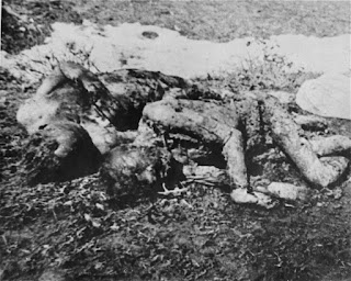 De Desconocido - United States Holocaust Memorial Museum, Foto #78489 The bodies of prisoners executed by the Ustasa in Jasenovac, Dominio público, https://commons.wikimedia.org/w/index.php?curid=8316302