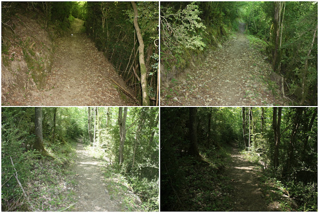 Ruta del Romànic de la Vall de Boí; camí de la ruta de l'Aigua paral·lel al riu la Noguera de Tor passada la Presa de Cardet