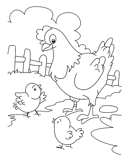 Coloring Animal - Chicken