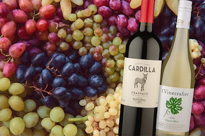 Amplie-sua-jornada-no-mundo-dos-vinhos-surpreenda-se-com-uvas-menos-populares