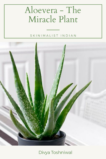 Skinimalist Indian