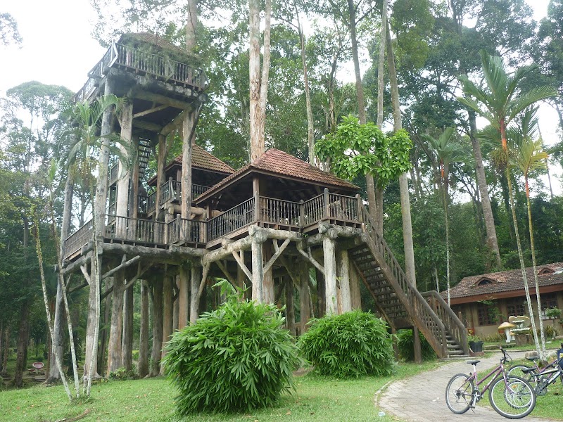 + Rumah Pokok, Sketsa Terkini!