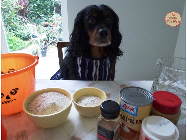 Molly The Wallys' Barking Bakes for Halloween 3