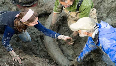 Penemuan Tulang Mammoth Dari Zaman Es Di Michigan  