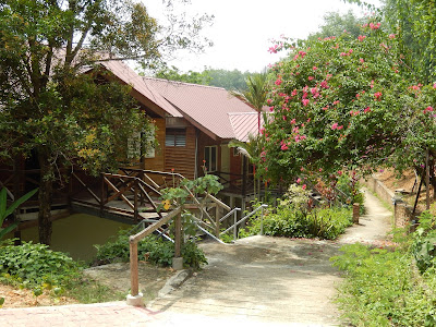 知知港生态农场度假村民宿， titi eco farm resort