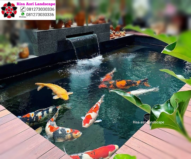 Jasa Tukang Kolam Natural Koi Pond Minimalis Batu Alam Kolam Natural Koi Pond & Kolam Minimalis WaterWall Air Terjun & Mancur