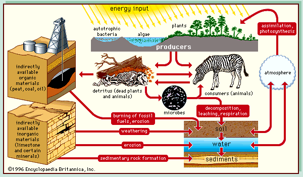 Geografi Pengertian Biosfer  Share The Knownledge