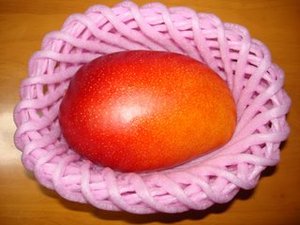 Buah Mangga Bisa Cake Ideas and Designs