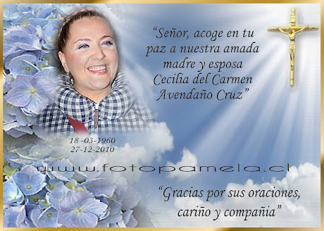 TARJETAS CONDOLENCIAS CHILE PROVIDENCIA