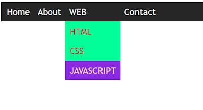 How to create dropdown menu using html css with source code