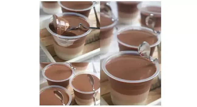 resep puding pandan coklat susu yang mudah dan menggoda