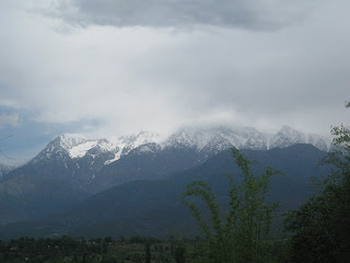 Palampur Himachal Pradesh