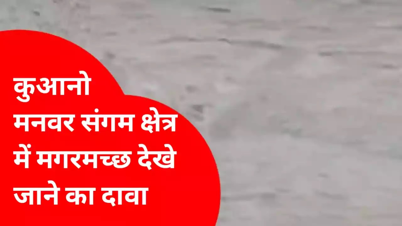 attention-crocodile-seen-river-basti-district-panic-villages-situated-river-banks