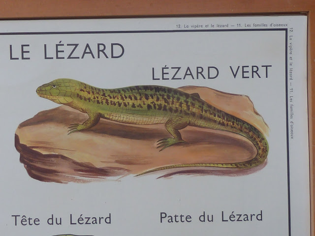 Vintage french posters school animals snakes