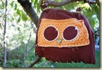 owl beanie