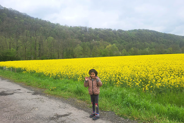 Le Petit Parc Ben-Ahin | Free things to do in Huy, Wallonia with Kids